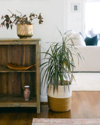 Hand-Woven Prado Hanging Basket